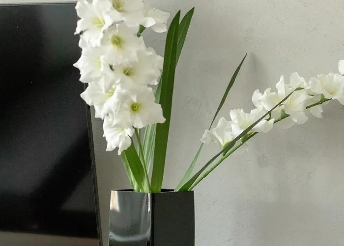 Stylowy W Centrum Gdyni I Blisko Plazy By Renters